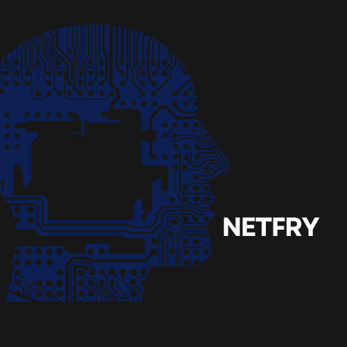 netfry LAUNCHfyi